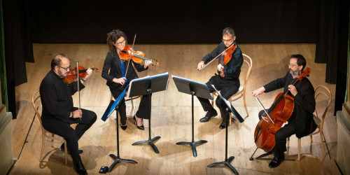 Immagine Quartetto e orchestra d'archi allo specchio