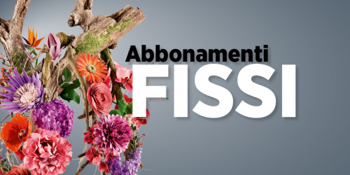 Immagine ABBONAMENTI FISSI