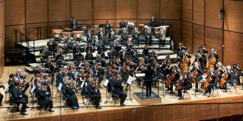 Immagine L’Orchestra Amatoriale di Milano: da Beethoven a Star Wars
