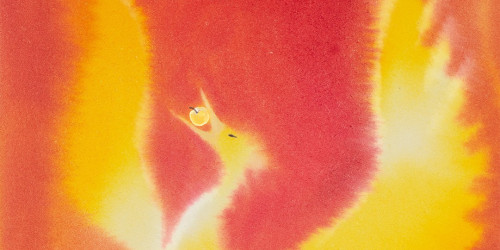 Immagine L’UCCELLO DI FUOCO 